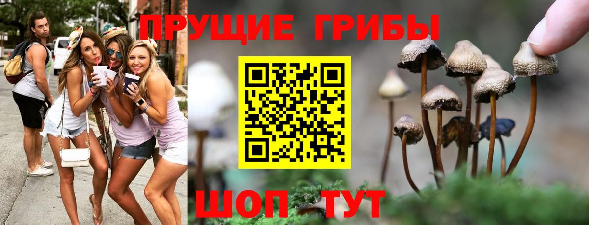 Псилоцибиновые грибы Magic Shrooms Сарапул